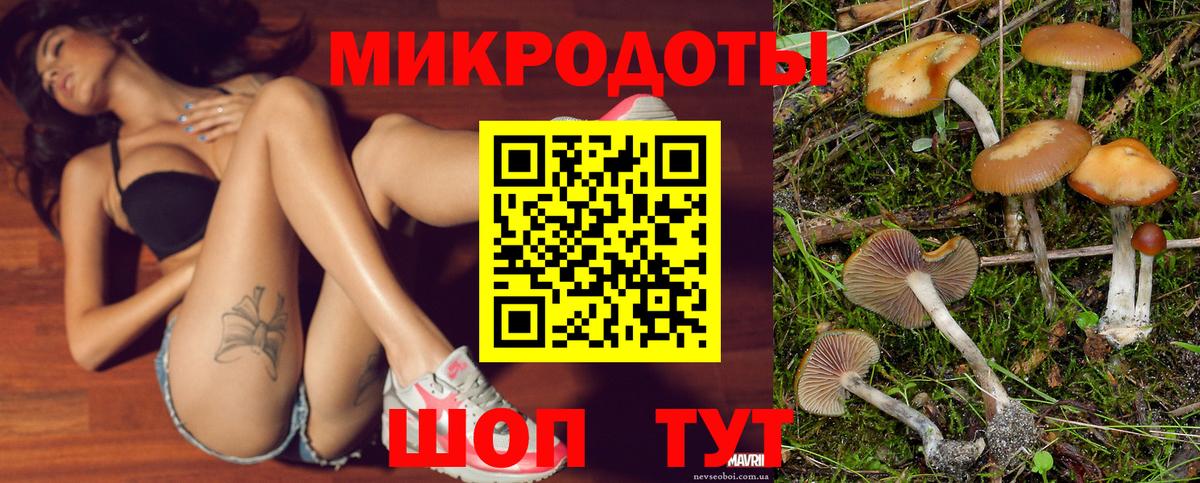 Псилоцибиновые грибы GOLDEN TEACHER Урай